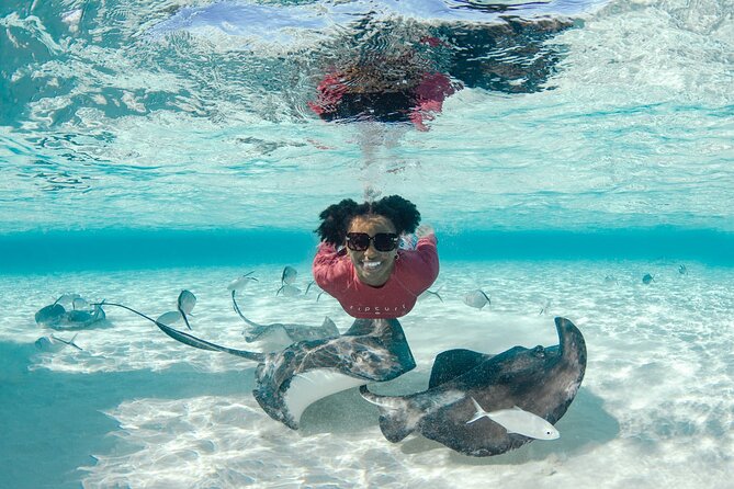 3 Hour Private Charter on Stingray City with Snorkeling - Snorkeling near Rum Point or Coral Gardens