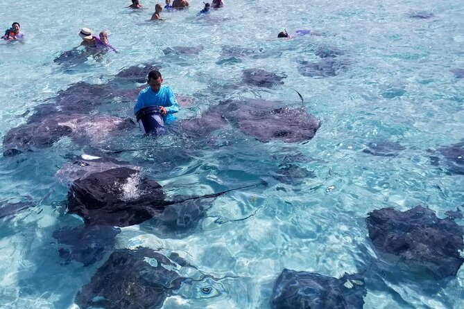 3 Stop Boat Tour Stingray City Coral Gardens and Starfish Point - Three Cayman stops in one short boat trip