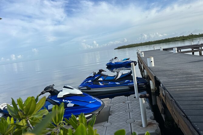 3HR Full Island Life Jetski Tour - Stingray City in shallow, calm water