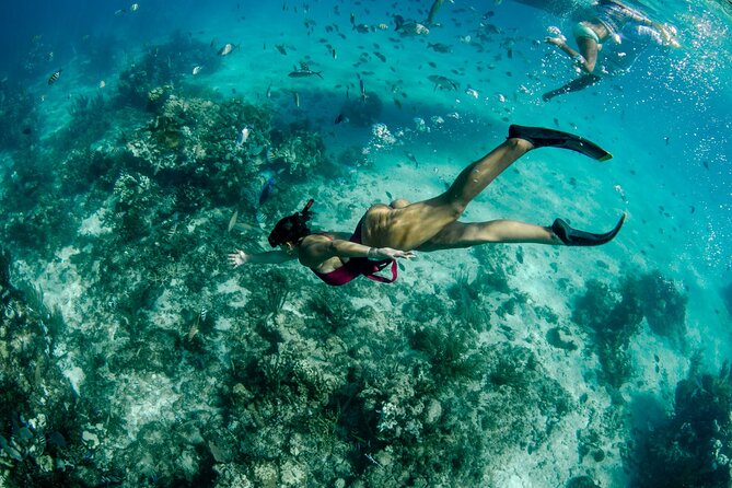 4 hour Private Boat charter to Stingray City, Snorkeling and More - Coral Gardens for an easy snorkeling stop