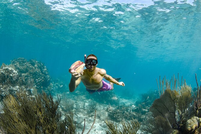 4 hour Private Boat charter to Stingray City, Snorkeling and More - Add Rum Point, mangroves, or a second swim
