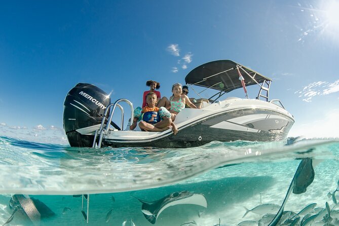 4 hour Private Boat charter to Stingray City, Snorkeling and More - Stingray City: the moment most people book for