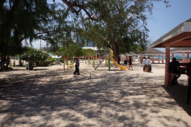 4-Stop Stingray, Snorkel, Star Fish & 7 Mile Beach (Family Owned) - A family-run crew with a hands-on approach