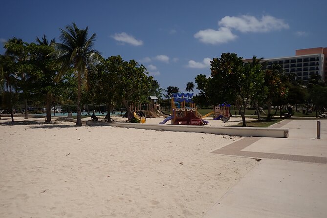 4-Stop Stingray, Snorkel, Star Fish & 7 Mile Beach (Family Owned) - Price, value, and what you actually receive