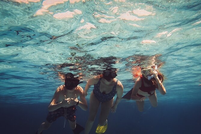 Acquarius Stingray City and Snorkel Tours - Three stops, one easy half-day on Grand Cayman