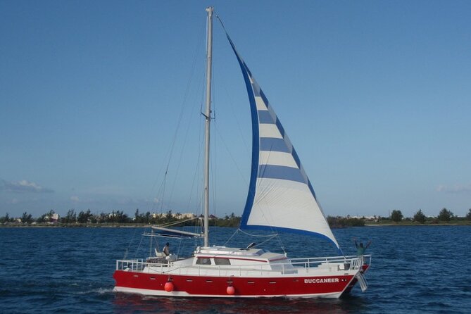 Acquarius Stingray City and Snorkel Tours - Starfish Point: colorful, calm, and not for everyone