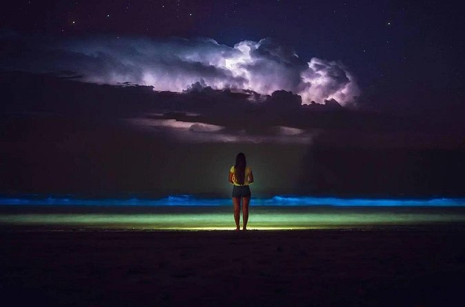 Bioluminescent Bay Adventure in Grand Cayman - The boat ride into Bio Bay