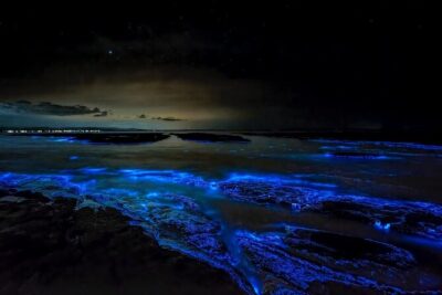 Bioluminescent Bay Adventure in Grand Cayman