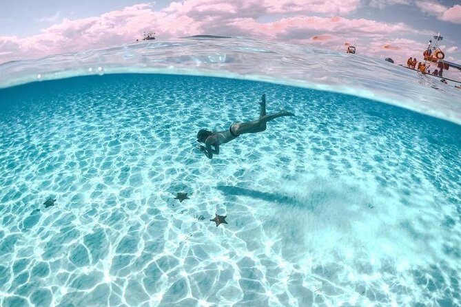 Cayman Adventure: Starfish Point, Stingray City and Coral Gardens - A Small Catamaran Group Can Make a Difference