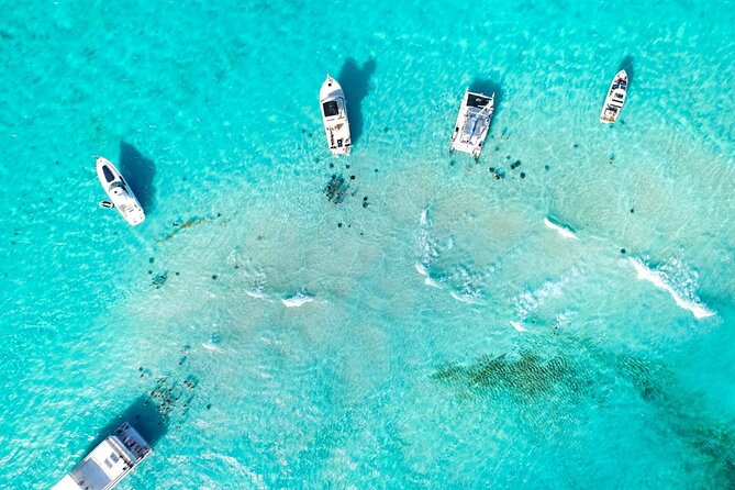 Cayman Adventure: Starfish Point, Stingray City and Coral Gardens - What to Pack for Sun, Salt Water, and Photos