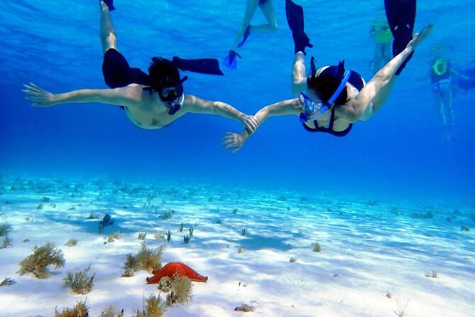 Cayman Adventure: Starfish Point, Stingray City and Coral Gardens - Who Will Like This Excursion Most?