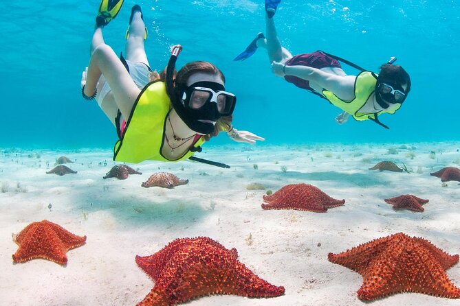 Cayman Combo Tour: Stingrays, Starfish Point and Crystal Caves - Starfish Point offers a quieter hour by the water