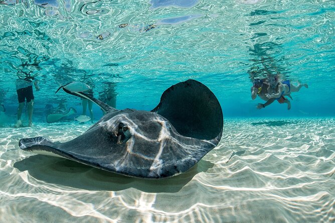 Cayman Combo Tour: Stingrays, Starfish Point and Crystal Caves - What the $109 price really covers