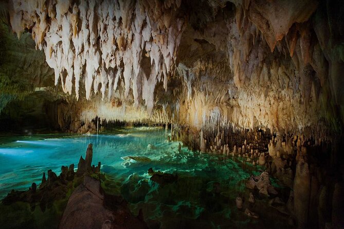 Cayman Combo Tour: Stingrays, Starfish Point and Crystal Caves - Who will get the most from this excursion