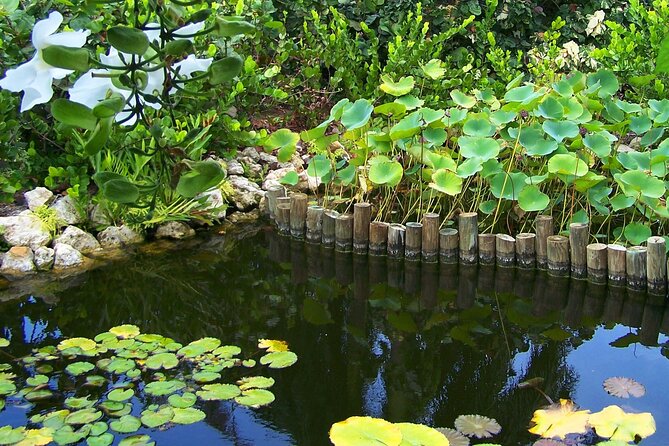 Cayman Crystal Caves & Pedro St James Castle or Botanical Garden - The Mission House question