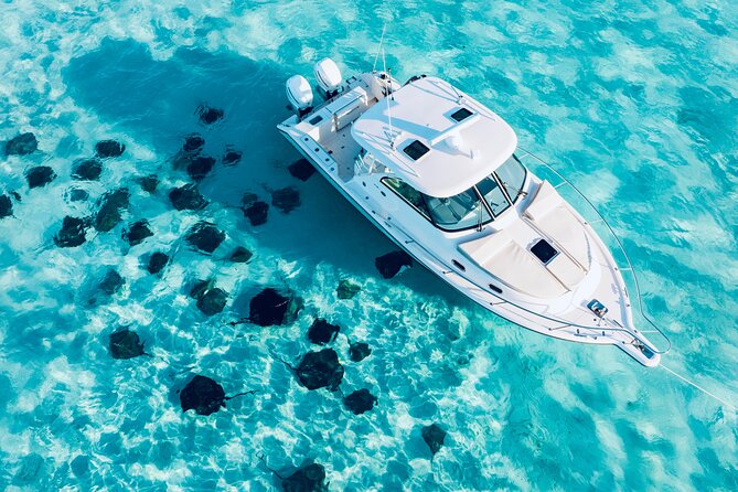 Cayman Private Luxury Charters - Stingray City, Snorkel, & More - Key points before you book