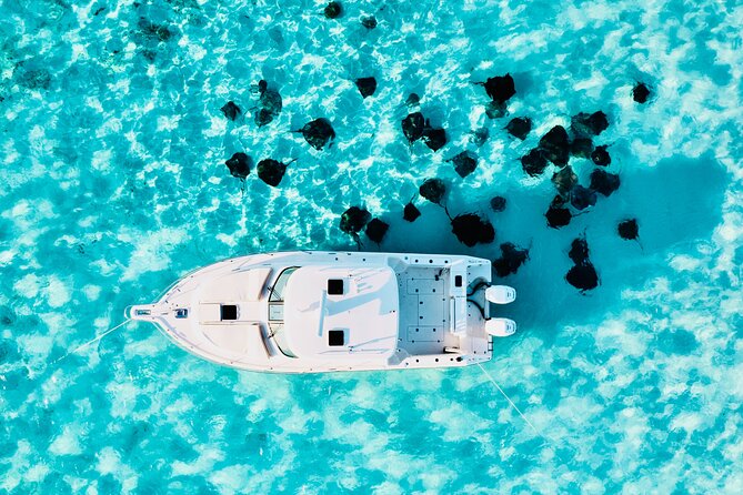 Cayman Private Luxury Charters - Stingray City, Snorkel, & More - Why a private boat changes the Grand Cayman day