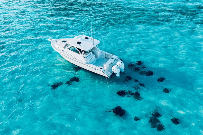 Cayman Private Luxury Charters - Stingray City, Snorkel, & More - Captains and the private-trip tradeoff
