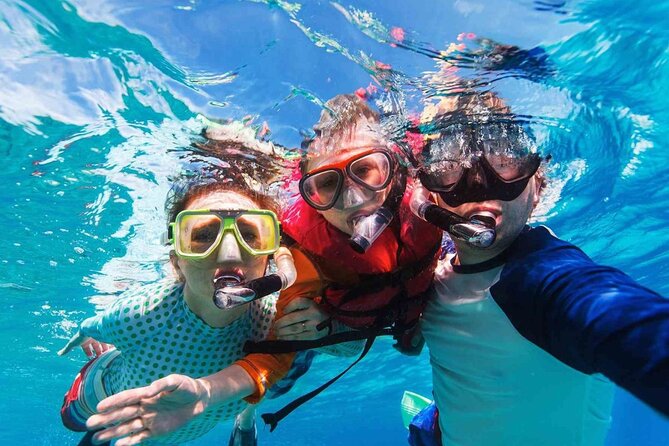 Cayman Ultimate Tour: Stingrays, Starfish Point and Crystal Caves - What The Price Really Covers