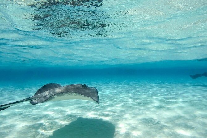 Cayman Ultimate Tour: Stingrays, Starfish Point and Crystal Caves - Booking, Weather and Cancellation Details