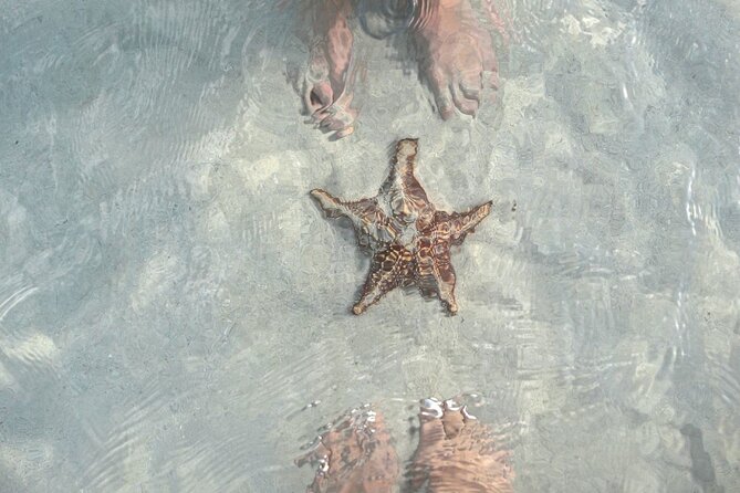 Cayman Ultimate Tour: Stingrays, Starfish Point and Crystal Caves - Starfish Point: A Quiet Change Of Pace