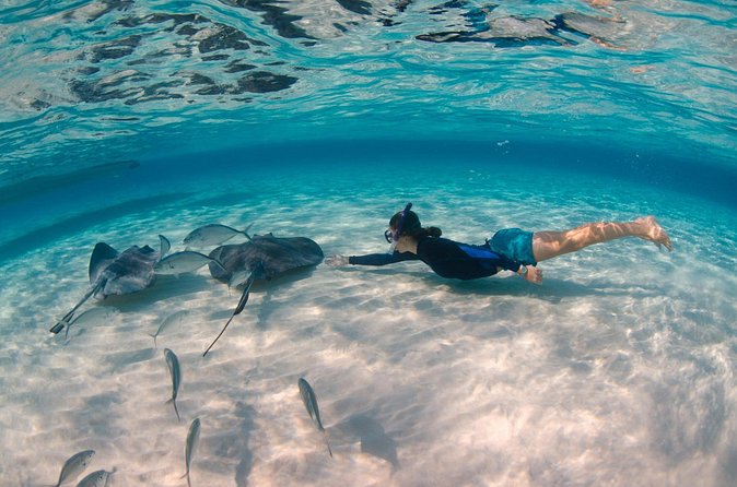 CaymanVisitor Hide & Seek GeoTour Self-Drive Tour - A closer look at the natural and cultural stops