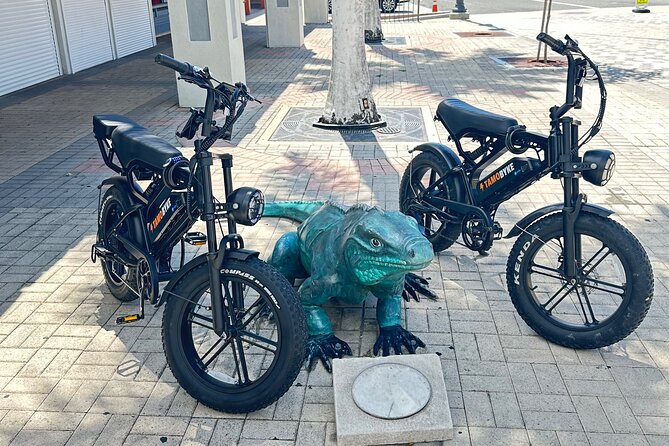 Coastal E-Bike Adventure: Full-Day Self-Guided Tour Grand Cayman - Why This Grand Cayman Ride Works So Well