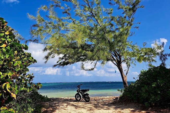 Coastal E-Bike Adventure: Full-Day Self-Guided Tour Grand Cayman - Camana Bay and the Observation Tower