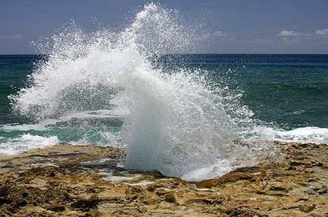East End Activities and Tour in Grand Cayman - One hour among palms, orchids, and Blue Iguanas