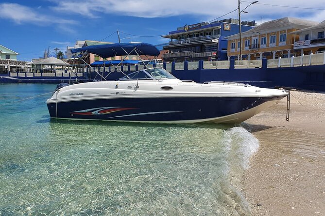 Full-Day Private Stingray City Snorkeling and Starfish Beach Tour - Key points to know before booking