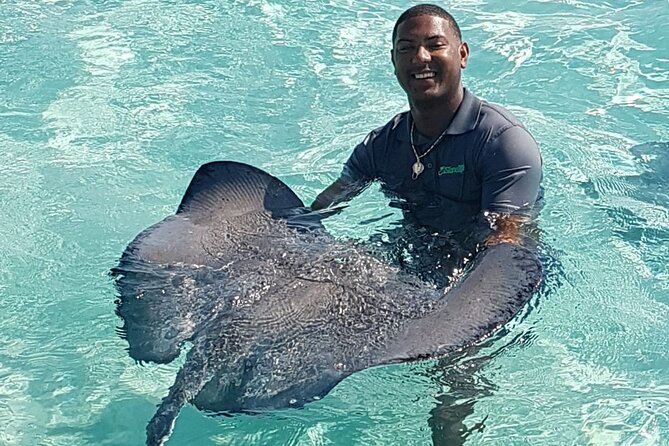 Full-Day Private Stingray City Snorkeling and Starfish Beach Tour - Starfish Point and the gentler side of the coast