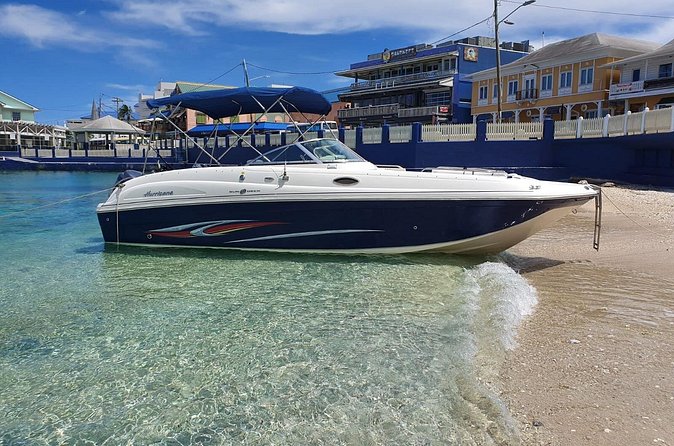 Full-Day Private Stingray City Snorkeling and Starfish Beach Tour - What the $1,050 group price really means