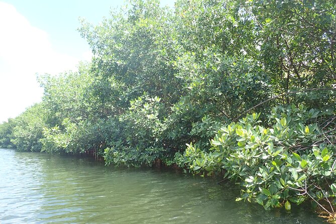 Get Anchored - What the boat choice means for your day
