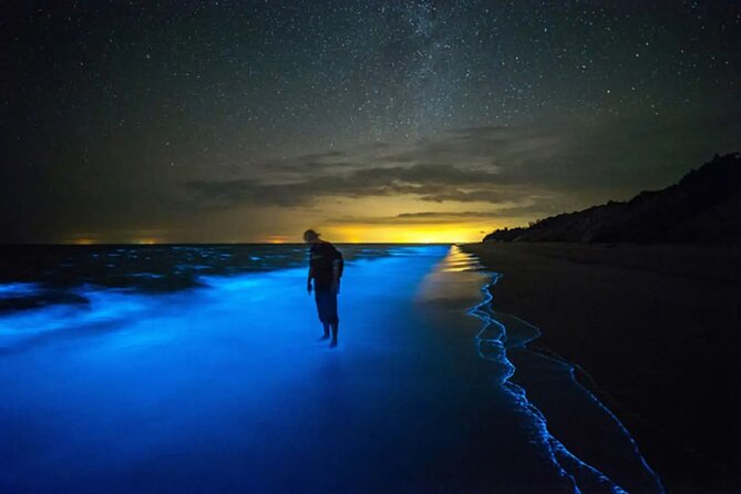 Grand Cayman Bioluminescence Adventure - Key points to know before booking