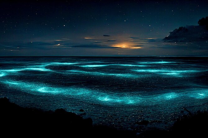 Grand Cayman Bioluminescence Adventure - Why Grand Cayman’s glowing water is worth your evening