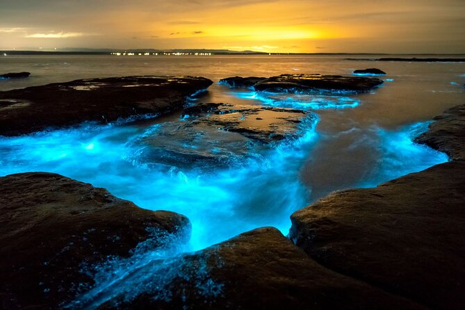 Grand Cayman Bioluminescence Adventure - What the $143.10 price really covers