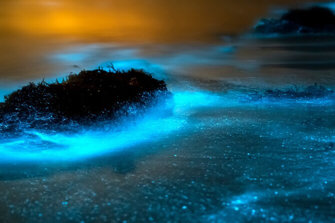 Grand Cayman Bioluminescence Adventure - Moonlight and weather matter more than usual