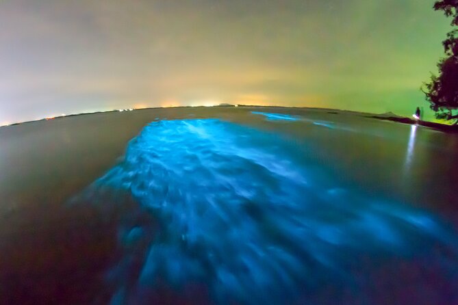 Grand Cayman Bioluminescence Adventure - My booking advice for the glowing bay