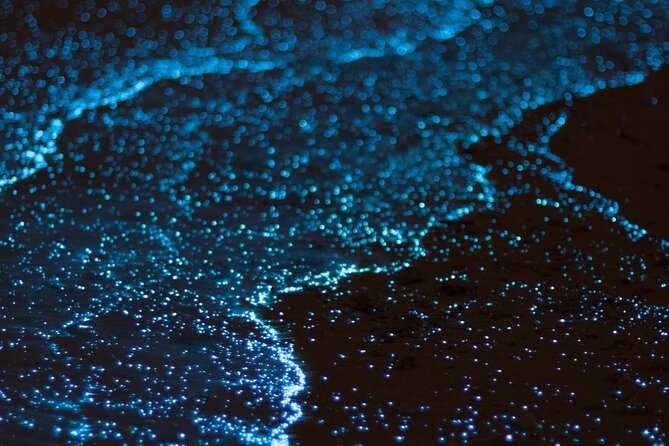 Grand Cayman Bioluminescence Experience - What the crew adds to the evening