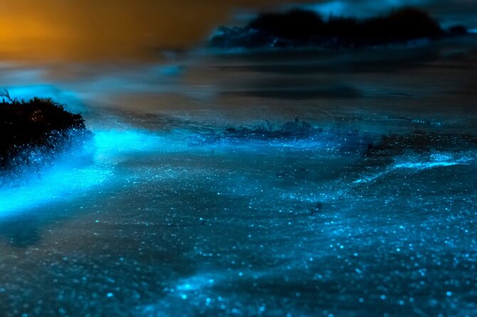 Grand Cayman Bioluminescence Experience - Who will enjoy this most