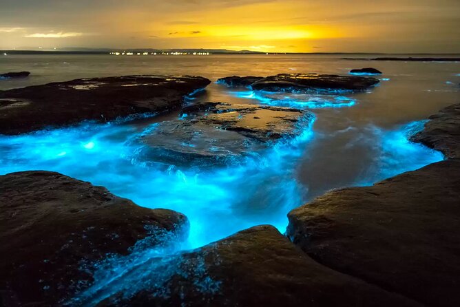Grand Cayman Bioluminescent Bay Adventure - Key points to know before you book