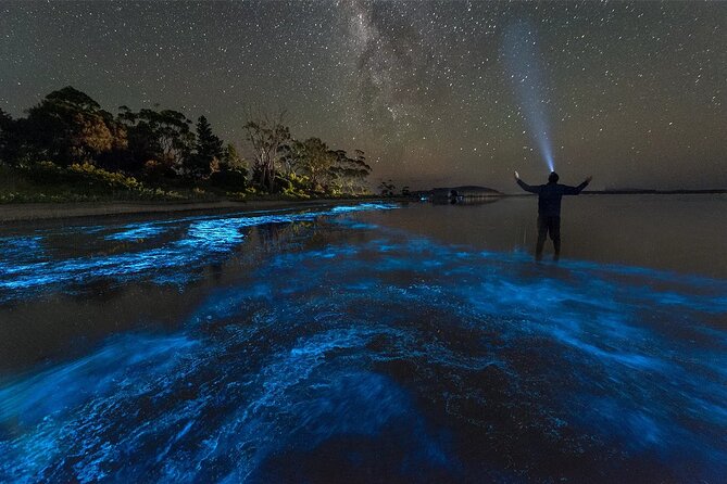 Grand Cayman Bioluminescent Bay Adventure - Swimming, equipment, and comfort on the water