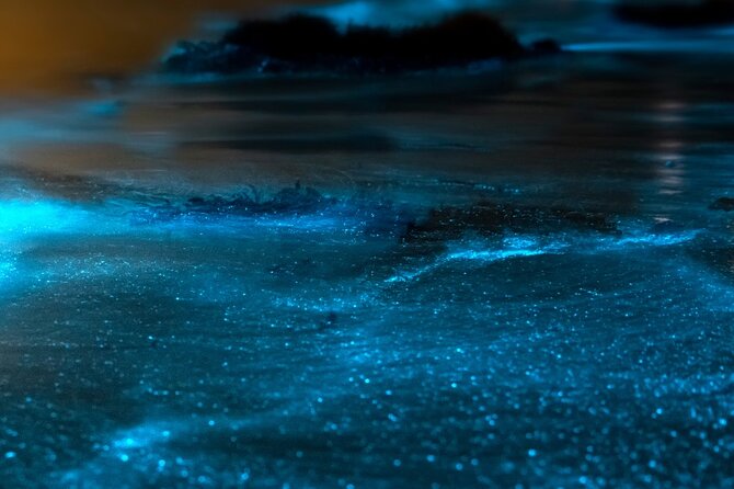 Grand Cayman Bioluminescent Bay Adventure - Is $149 a fair price?