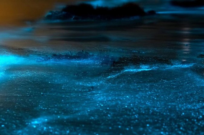 Grand Cayman Bioluminescent Bay Adventure - Who will enjoy this tour most