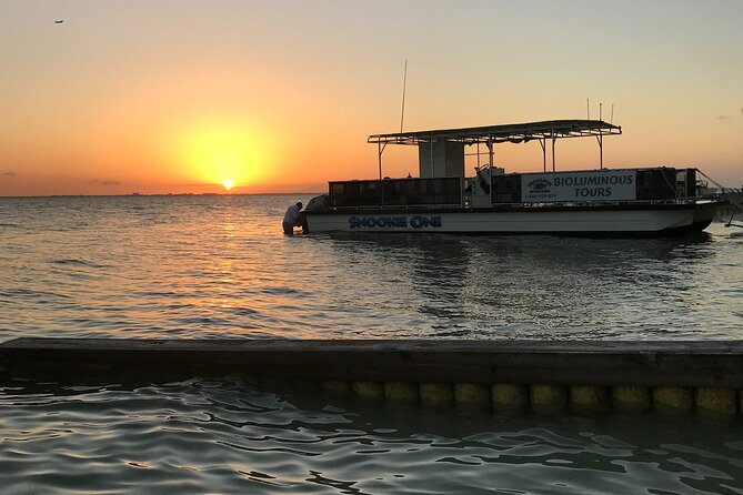 Grand Cayman Bioluminescent Bay Tour - What the $134.10 price covers