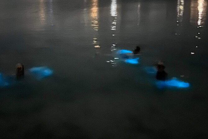 Grand Cayman Bioluminescent Bay Tour - Timing, moon phases, and the practical details