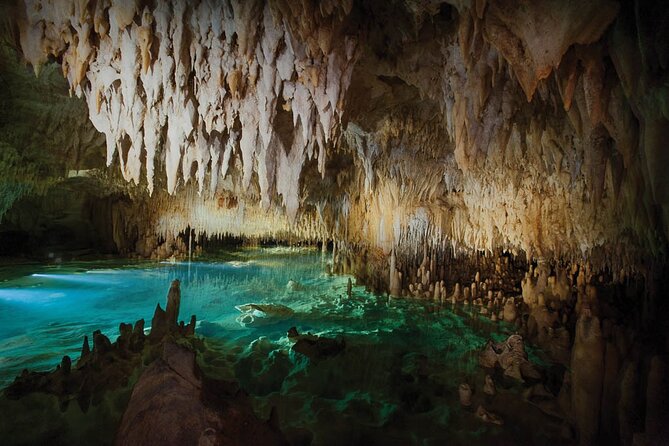Grand Cayman Private Customized Bus Tour - Who will get the most from this tour?