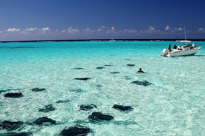 Grand Cayman Stingray City and Reef Snorkeling Combo Tour - How to make the day easier