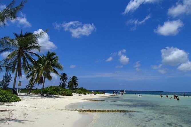 Half Day Private Boat Charter in Grand Cayman - The boat, equipment, and physical demands