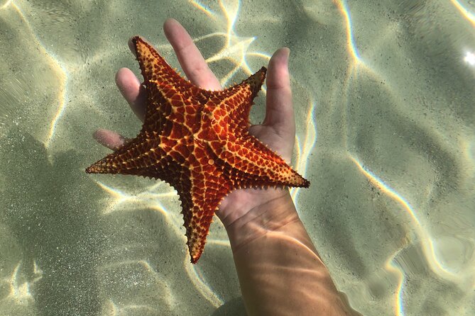 Half Day Private Boat Charter in Grand Cayman - Weather, timing, and the smart way to book